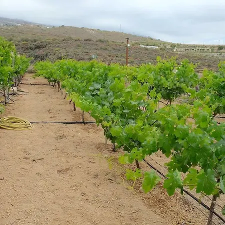Prázdninový dům Casa En De Uva Con Piscina Privada, Cubierta Y Climatizada *
