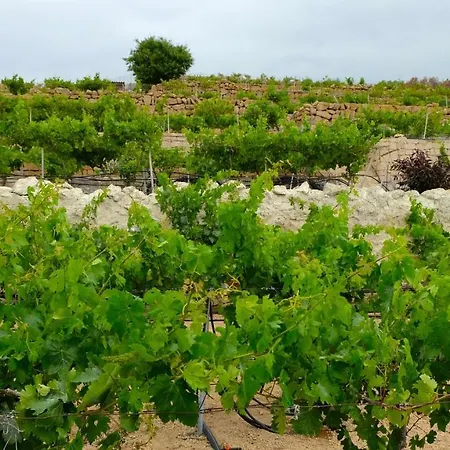 Casa En De Uva Con Piscina Privada, Cubierta Y Climatizada Prázdninový dům